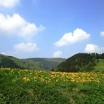 Bei Mit Terrasse Appartement *
