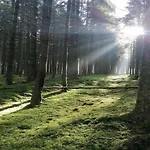 Bei Mit Terrasse * Willingen (Upland)