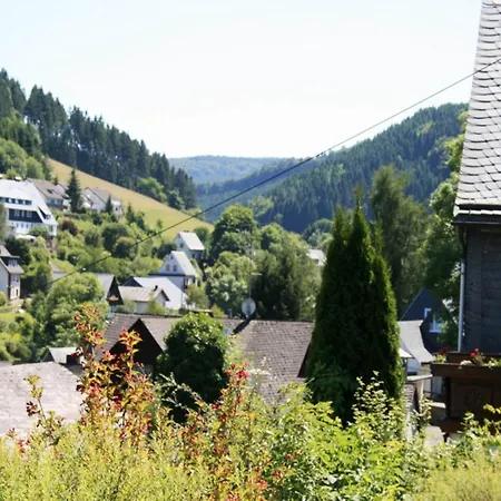 Apartman Cosy In Schwalefeld Near With Private Terrace Willingen