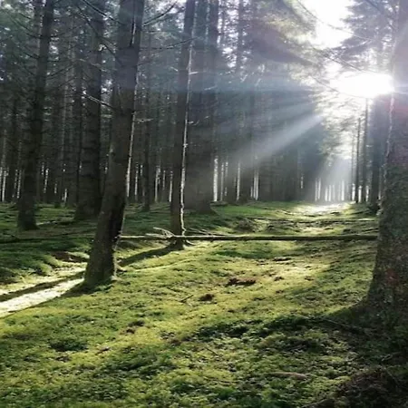 Bei Mit Terrasse Апартаменты *