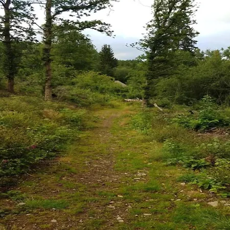 Bei Mit Terrasse 아파트