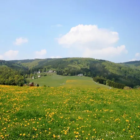 Bei Mit Terrasse Apartment Willingen (Upland)