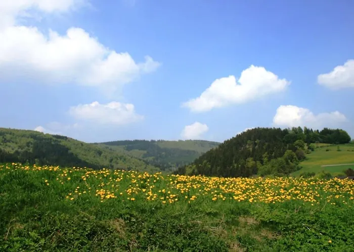 Bei Mit Terrasse Appartement
