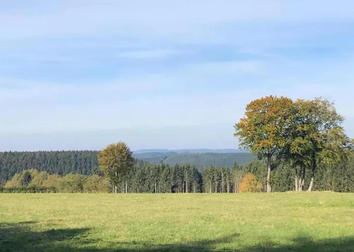Bei Mit Terrasse Lejlighed Willingen (Upland)