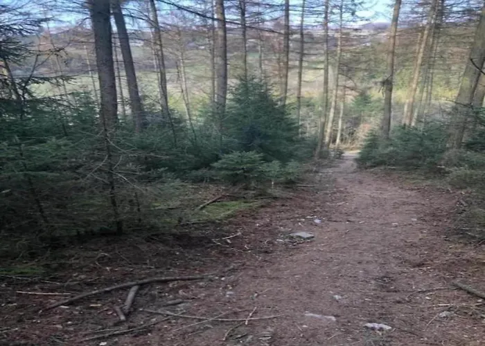 Bei Mit Terrasse Lejlighed Willingen (Upland)