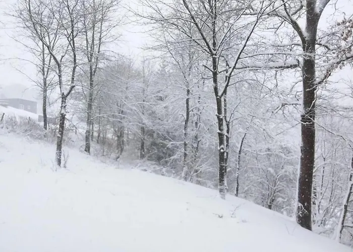 Bei Mit Terrasse Lejlighed