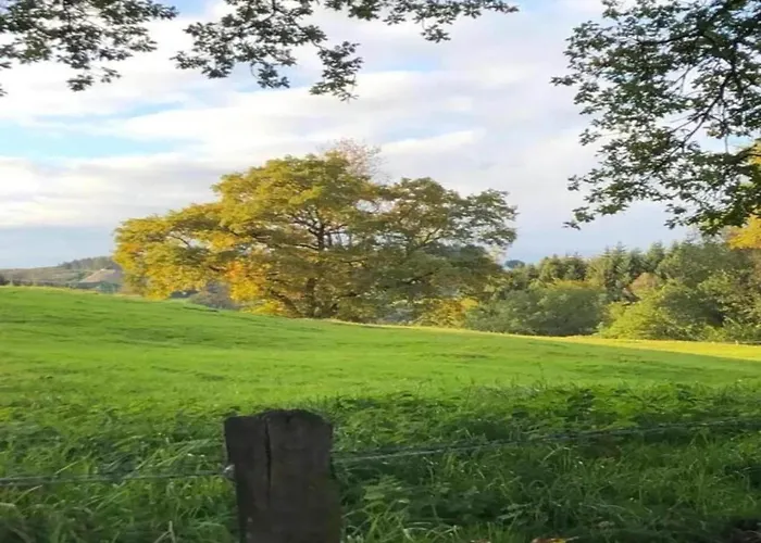 Bei Mit Terrasse Willingen (Upland)