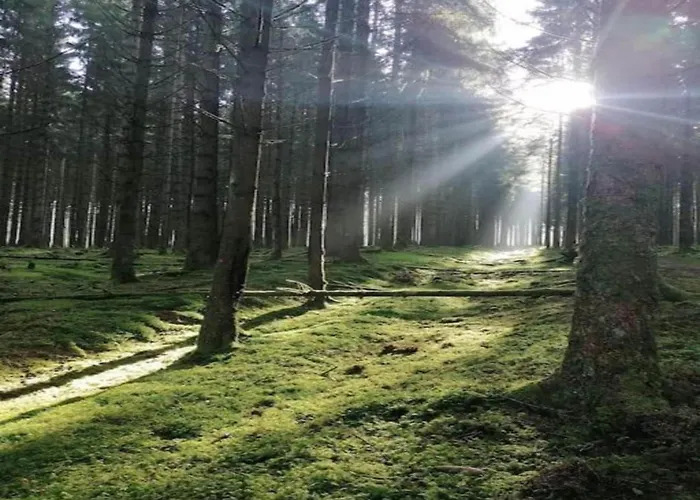 Lejlighed Bei Mit Terrasse Willingen (Upland)