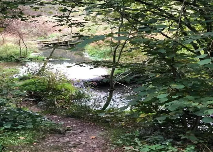 Lejlighed Bei Mit Terrasse Willingen (Upland)