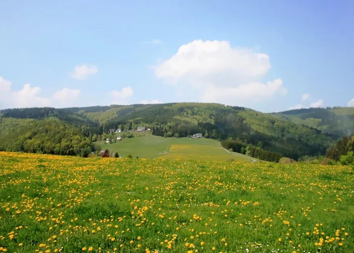 Bei Mit Terrasse Willingen (Upland)