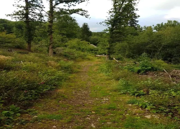 Bei Mit Terrasse Lejlighed Willingen (Upland)