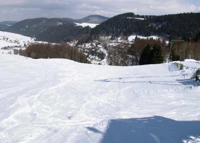 Bei Mit Terrasse * Willingen (Upland)