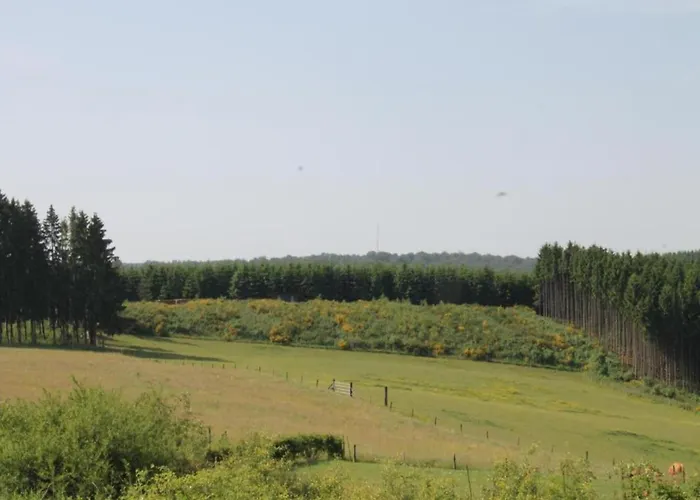 Bei Mit Terrasse Lejlighed Willingen (Upland)