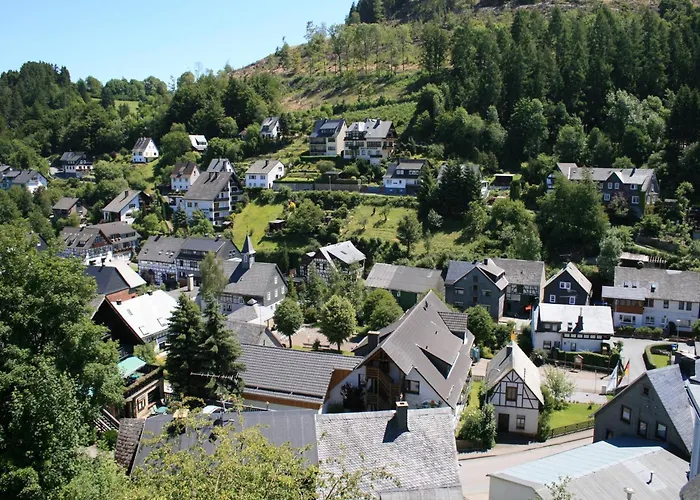 Lejlighed Bei Mit Terrasse Willingen (Upland)
