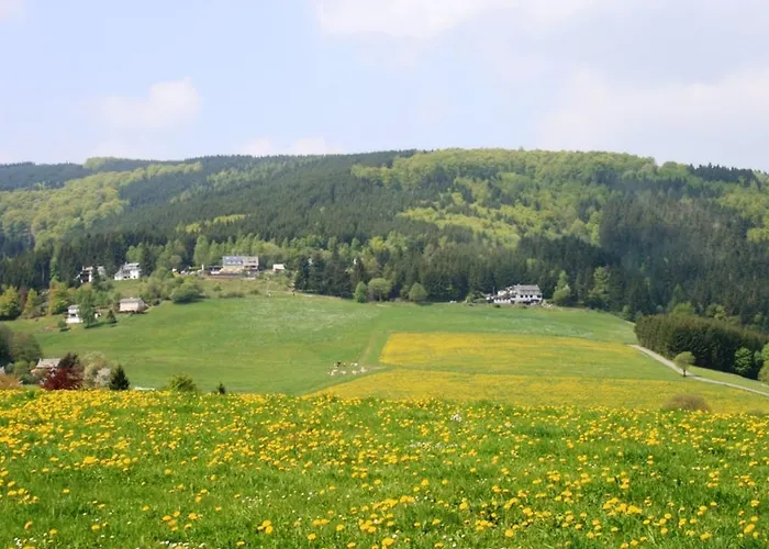 Bei Mit Terrasse * Willingen (Upland)